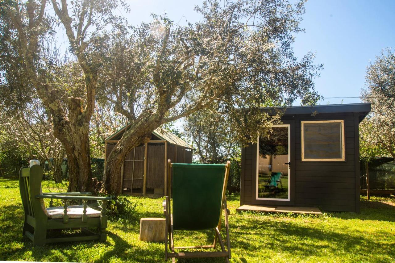 Figueirinha Ecoturismo Guest House Monte da Estrada Exterior foto