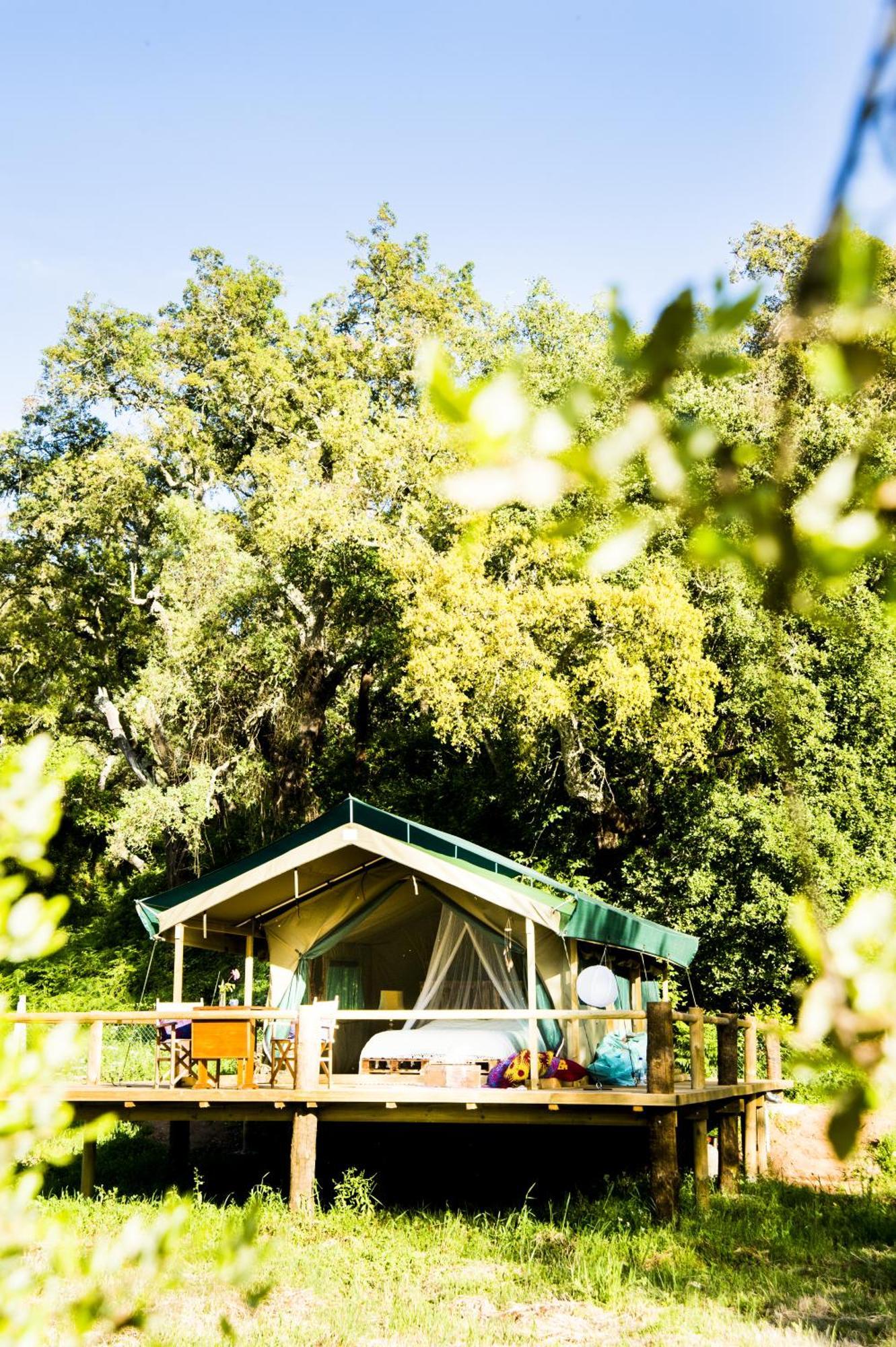Figueirinha Ecoturismo Guest House Monte da Estrada Cameră foto
